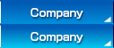 Company information 